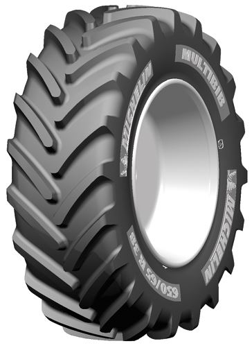 Informacin de MICHELIN MULTIBIB, 340 / 65 18 - 113D